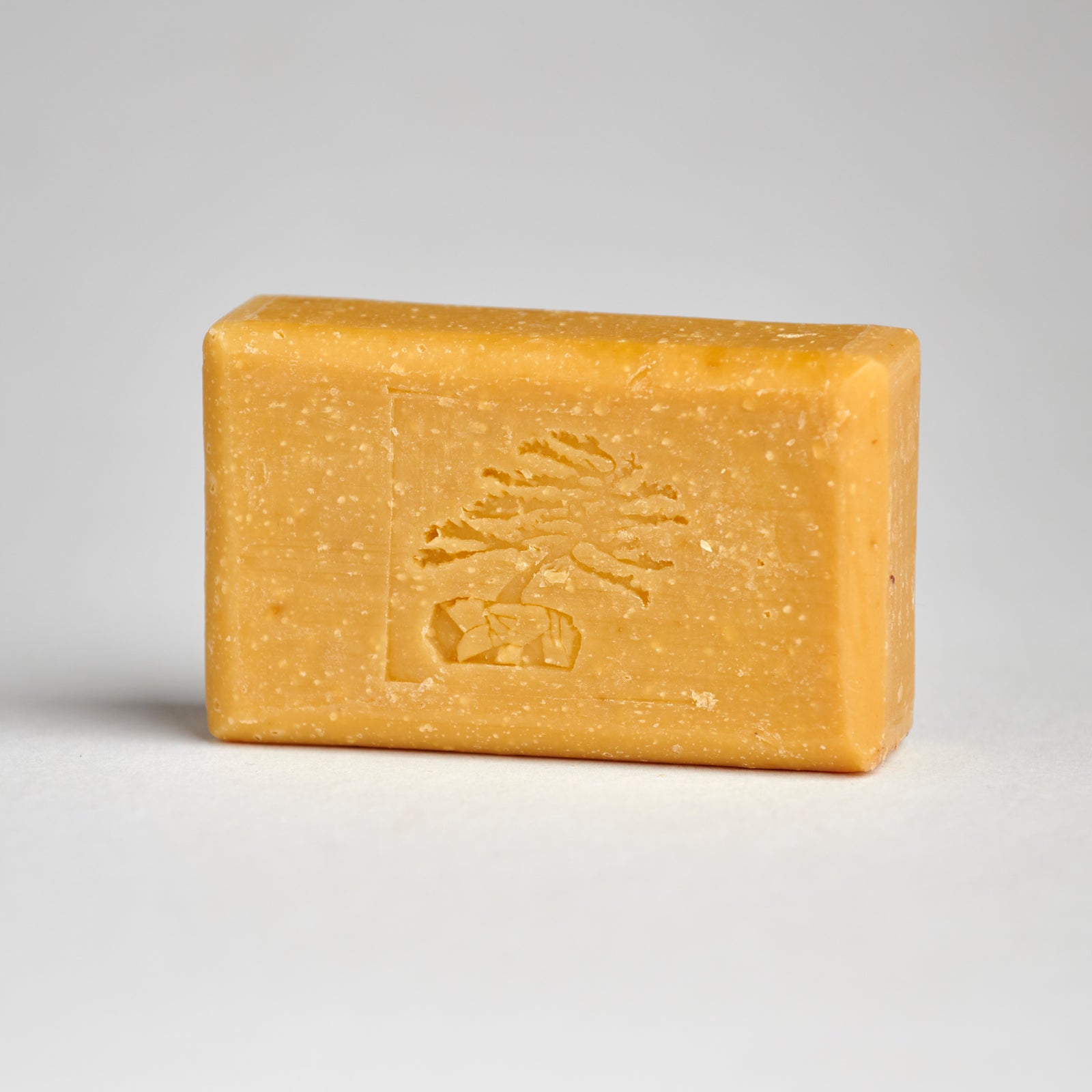 Pumpkin Bar Soap