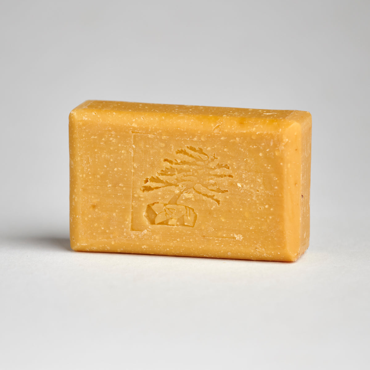 Pumpkin Bar Soap - Soapstones Natural Skincare