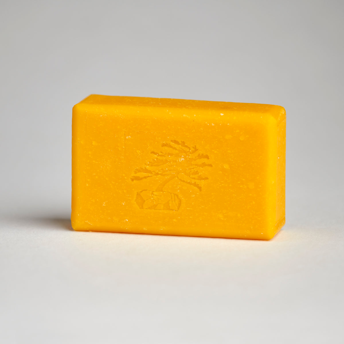 Sea Buckthorn Bar Soap - Soapstones Natural Skincare