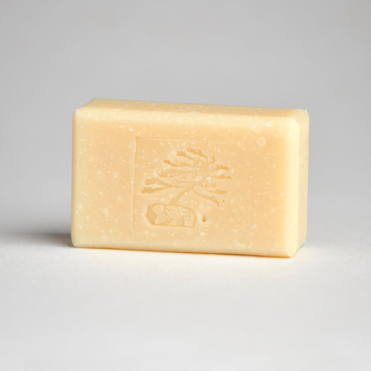 Elements Shampoo Bar - Soapstones Natural Skincare