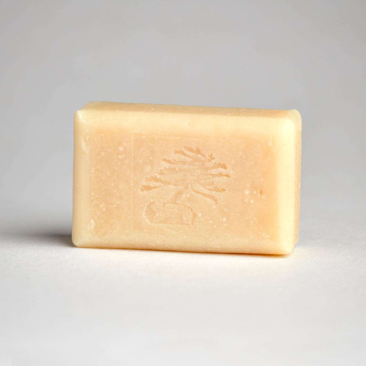 Fragrance Free Shampoo Bar - Soapstones Natural Skincare