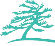 logo of Natural Skin Care Products Canada - Soapstones Natural Skincare