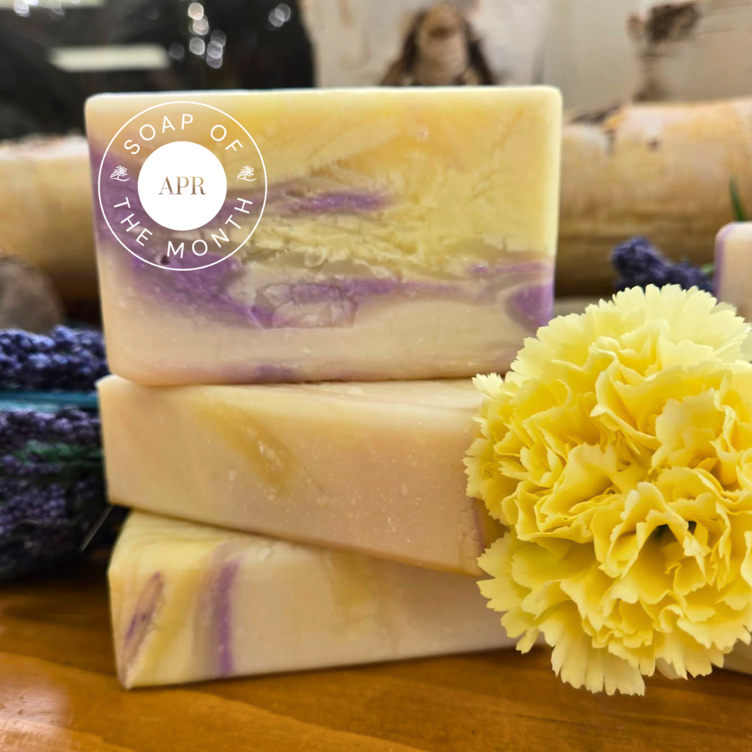 Springtime on the Bay of Fundy