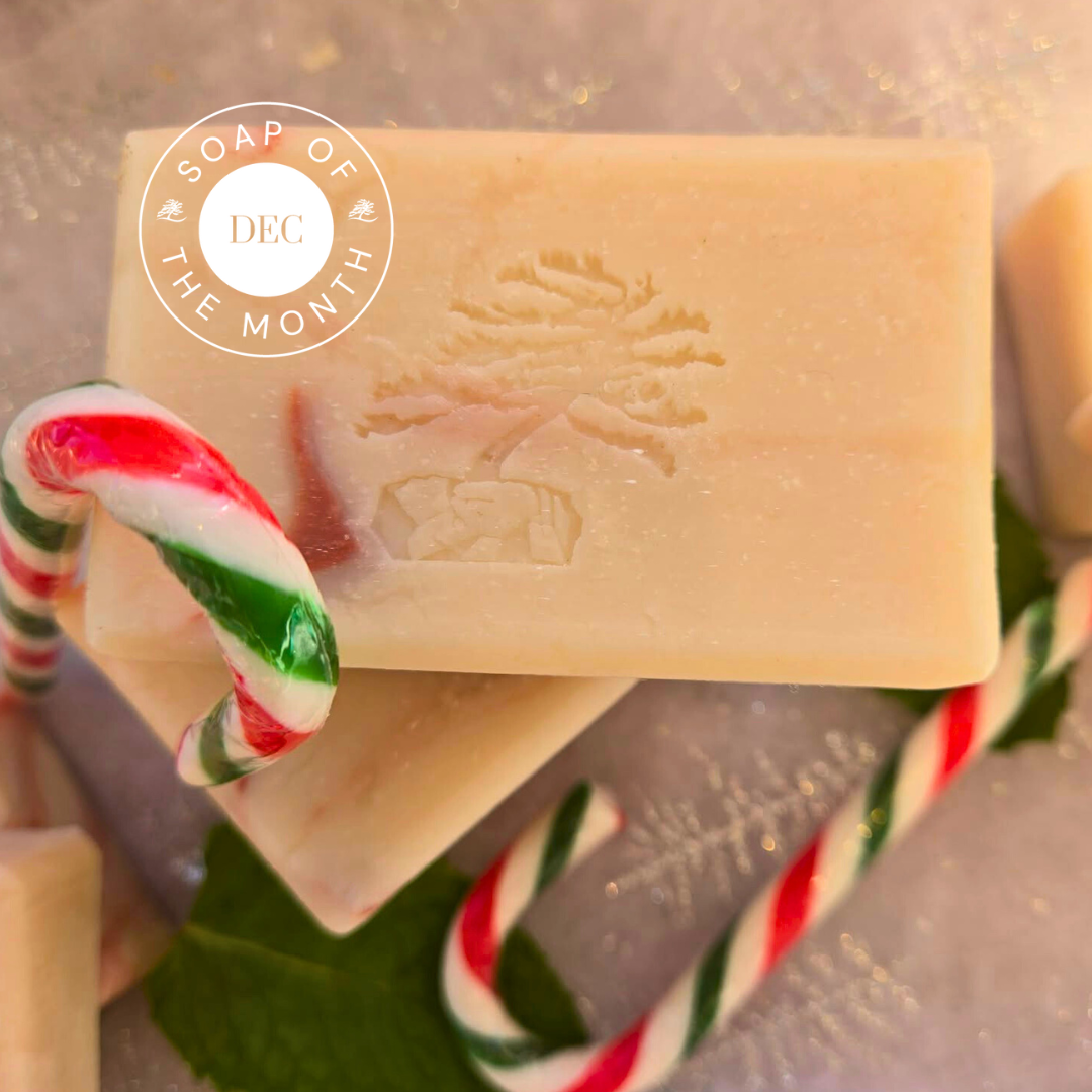 Santa's Workshop, North Pole Bar Soap