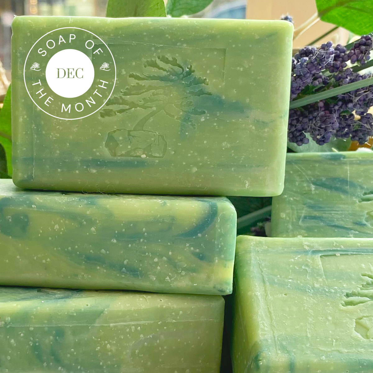 Winter Mint Bar Soap