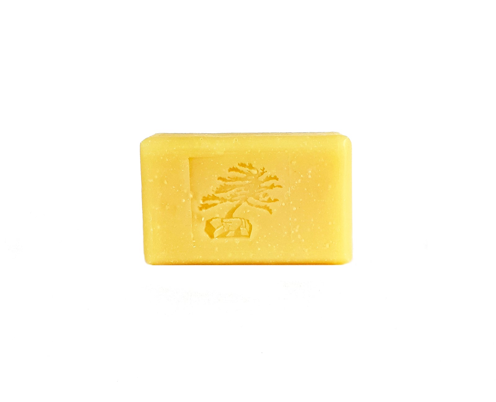 Coconut Milk Bar Soap - Soapstones Natural Skincare