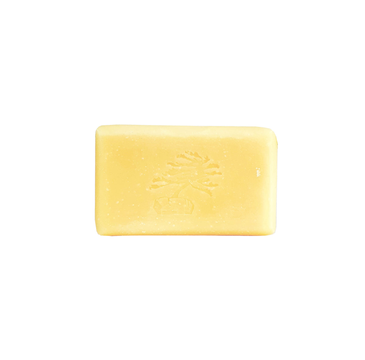 Enliven Bar Soap - Soapstones Natural Skincare