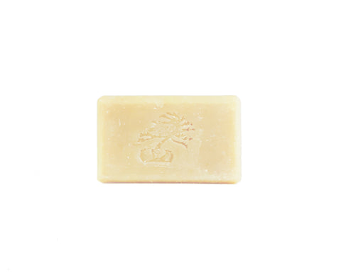 Enliven Shampoo Bar - Soapstones Natural Skincare