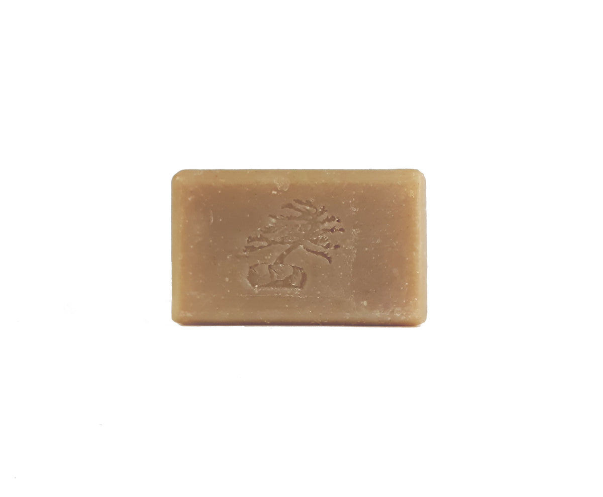 Natural Shampoo Bar Canada Soapstones Natural Skincare