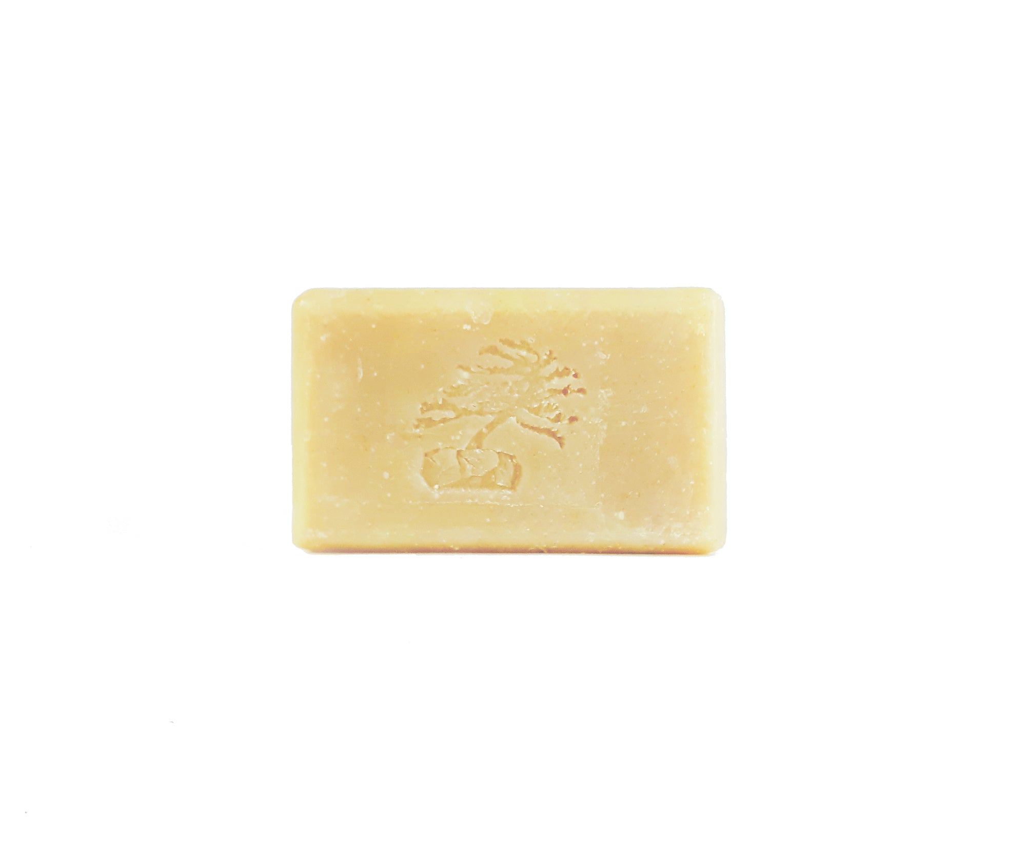 Rosemary Mint Shampoo Bar - Soapstones Natural Skincare