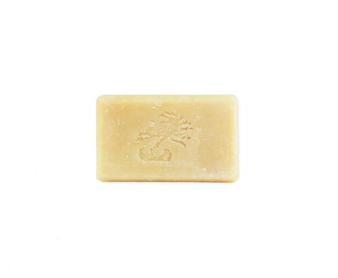 Rosemary Mint Shampoo Bar - Soapstones Natural Skincare