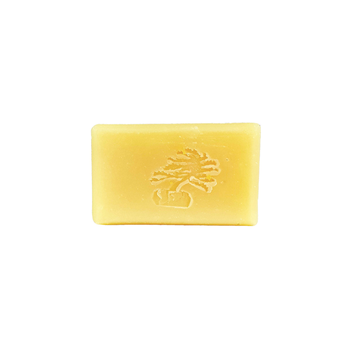 White Tea and Ginger Bar Soap - Soapstones Natural Skincare