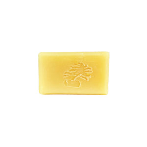 White Tea and Ginger Bar Soap - Soapstones Natural Skincare